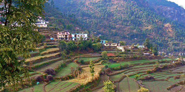 solan