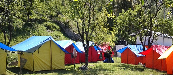 Manali Camping
